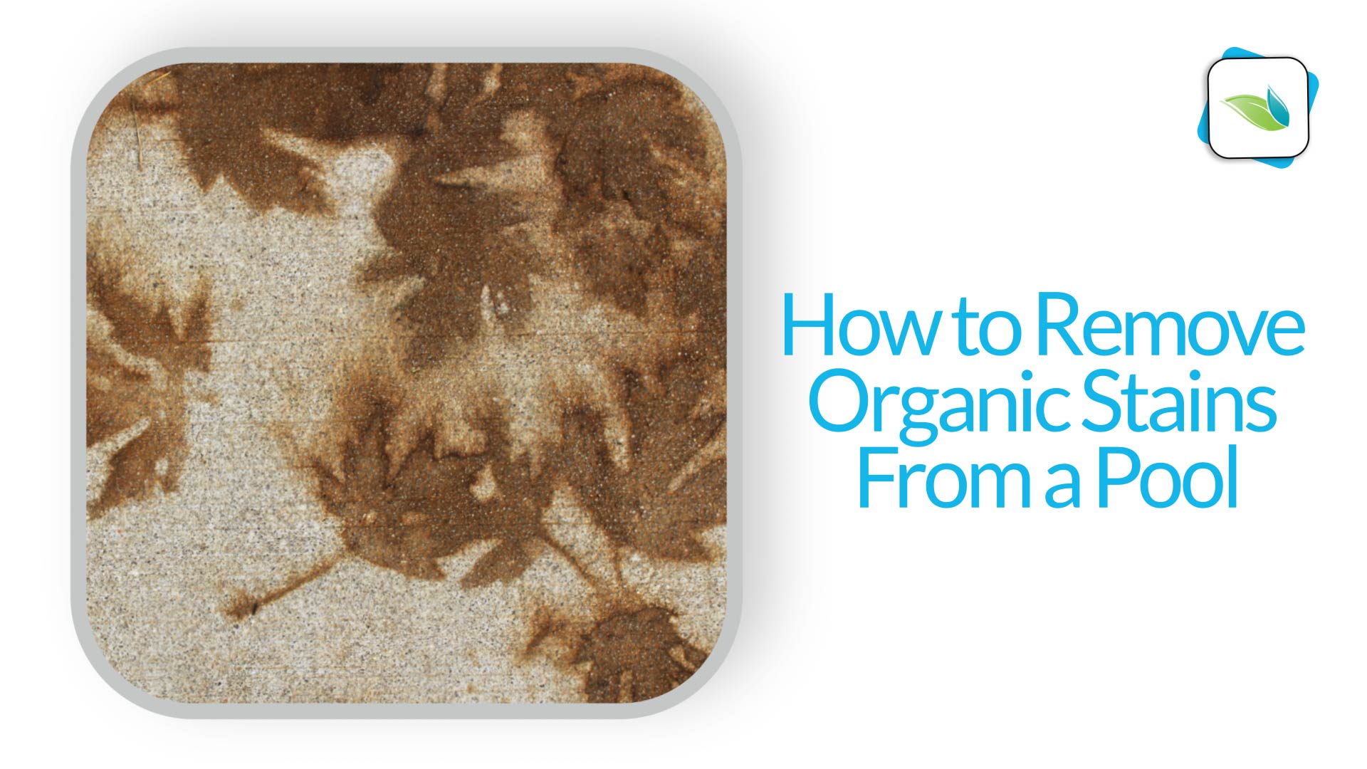 How to Remove Organic Stains From a Pool